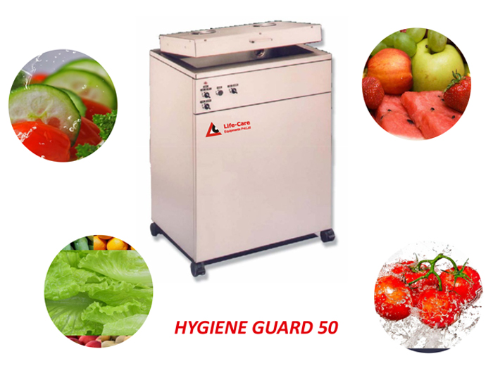 Commercial Ozone Bubble Fruit Vegetable Washing Machine